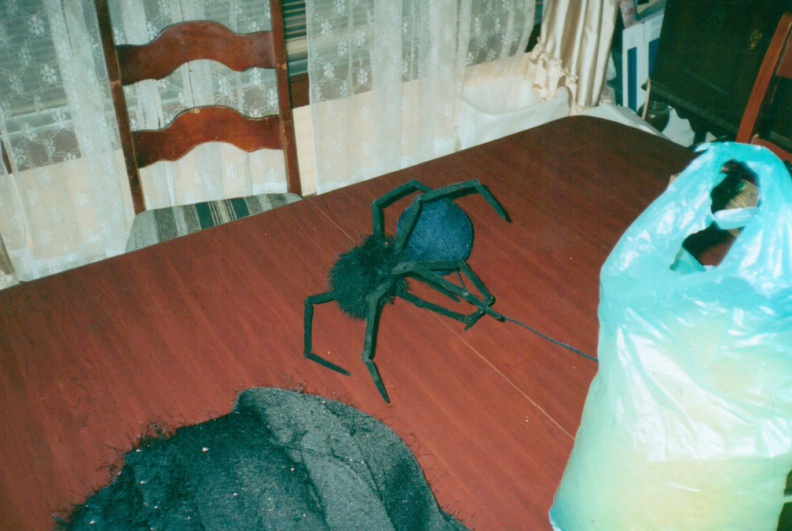 Spider.jpg