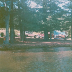 Trips