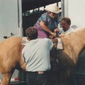1994-08-HorseCamp-008