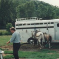 1995-07-HorseCamp-014