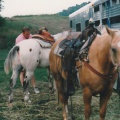 1995-07-HorseCamp-019
