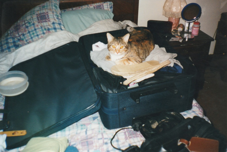 1999-12-Cats-001