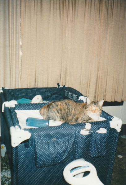 1999-12-Cats-002