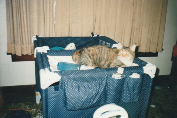 1999-12-Cats-003