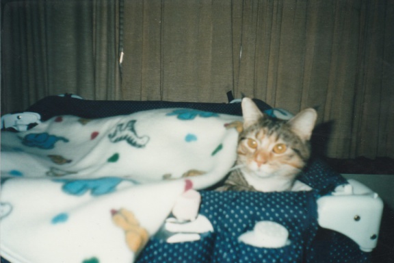 1999-12-Cats-004