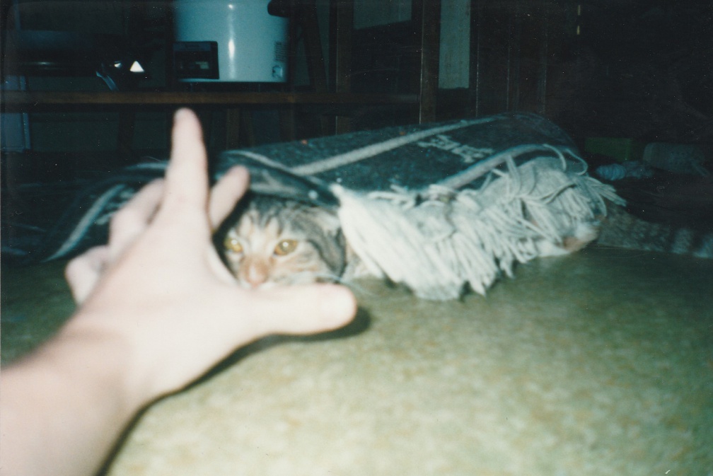 1999-12-Cats-005