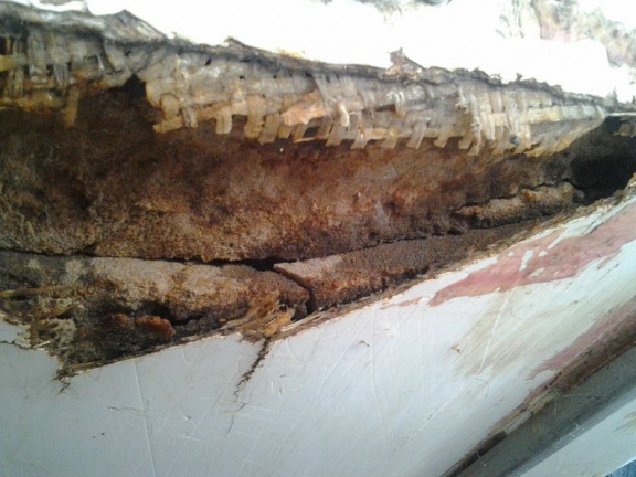 20140611 005202000 iOS