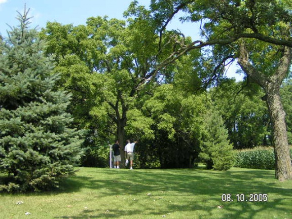 DianePixs406