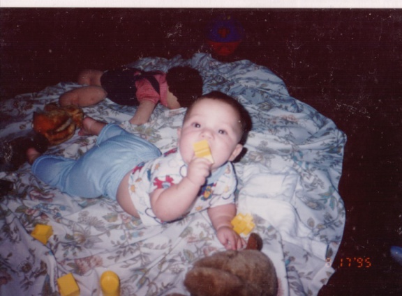 scan337