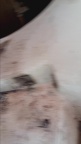 20240718 144634