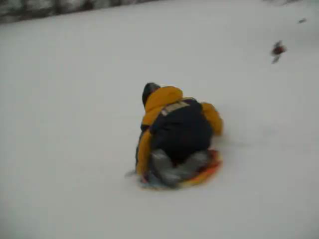 Sledding100 0985
