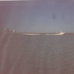 1994